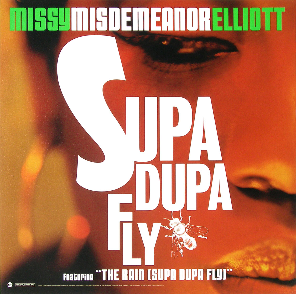 Missy Misdemeanor Elliott poster: Supa Dupa Fly album flat