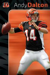 Andy Dalton poster [Cincinnati Bengals] 22 1/2'' X 34''