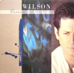 Brian Wilson poster: Brian Wilson vintage LP/Album flat (GD)