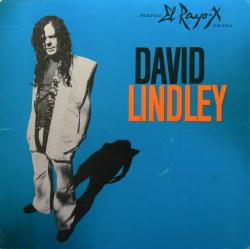 David Lindley poster: El Rayo-X vintage promo album flat (1981)
