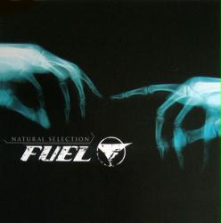 Fuel poster: Natural Selection vintage promo album flat (2003)