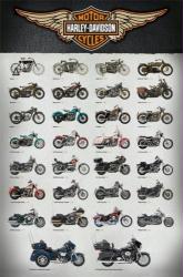 Harley-Davidson Motorcycles poster: Evolution (24x36) New