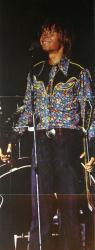 John Denver poster: An Evening With John Denver album insert (11x28.5) vintage 1975