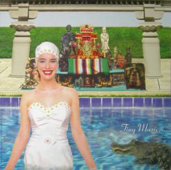 Stone Temple Pilots poster: Tiny Music vintage album flat (1996)