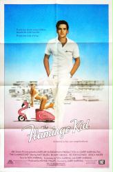 The Flamingo Kid movie poster [Matt Dillon] 1984 original 27x41
