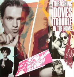 Thrashing Doves poster: Trouble in the Home vintage LP/Album flat