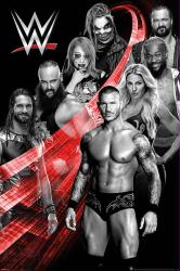 WWE Superstars poster: Randy Orton, Seth Rollins, Asuka, etc. (24x36)
