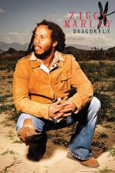 Ziggy Marley poster: Dragonfly (24x36) reggae