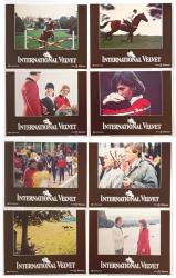 International Velvet movie lobby cards - set of 8 (14x11) 1978