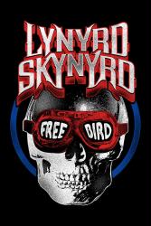 Lynyrd Skynyrd poster: Free Bird (24x36)
