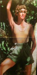 Olivia Newton-John poster: Physical album insert (11x22) vintage 1981