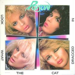 Poison poster: Look at What the Cat Dragged In vintage promo album flat (1986) Steve Miller Band
