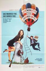 Preacherman Meets Widderwoman movie poster [Albert T. Viola, Marian Brown] 1973 original 27x41