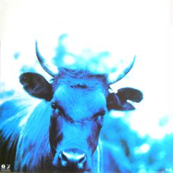 U2 poster: Achtung Baby vintage promo album flat #12/16 (1991)