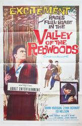 Valley of the Redwoods movie poster [John Hudson, Lynette Bernay] 1960 original 27x41