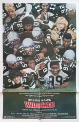 Wildcats movie poster [Goldie Hawn, Woody Harrelson, Wesley Snipes] 1986 original 27x41