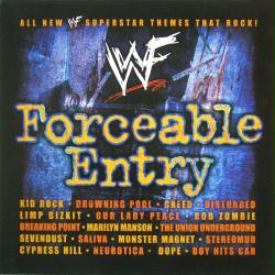 WWF Forceable Entry poster: vintage promo album flat (2002) WWE